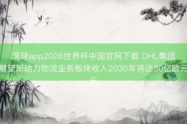 滚球app2026世界杯中国官网下载 DHL集团展望新动力物流业务板块收入2030年将达30亿欧元
