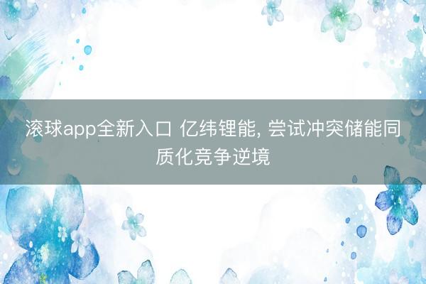 滚球app全新入口 亿纬锂能, 尝试冲突储能同质化竞争逆境