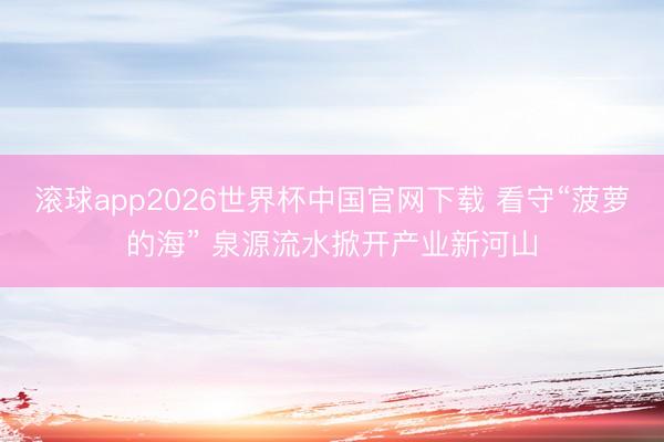 滚球app2026世界杯中国官网下载 看守“菠萝的海” 泉源流水掀开产业新河山