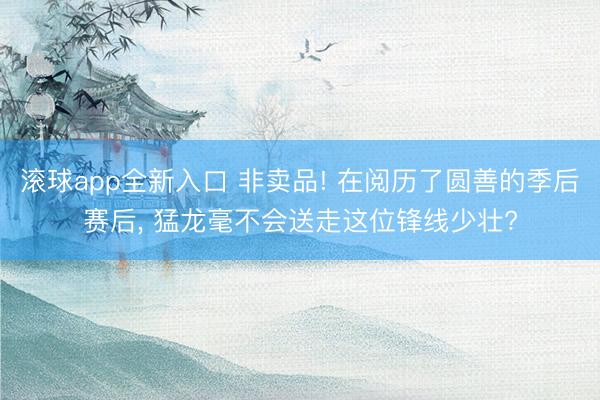 滚球app全新入口 非卖品! 在阅历了圆善的季后赛后, 猛龙毫不会送走这位锋线少壮?
