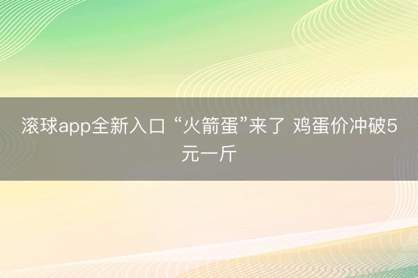 滚球app全新入口 “火箭蛋”来了 鸡蛋价冲破5元一斤