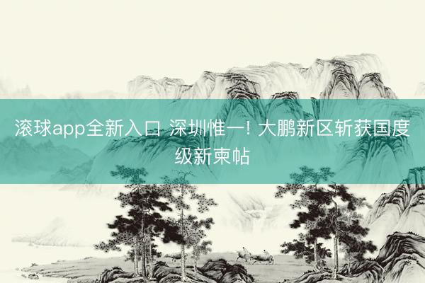 滚球app全新入口 深圳惟一! 大鹏新区斩获国度级新柬帖