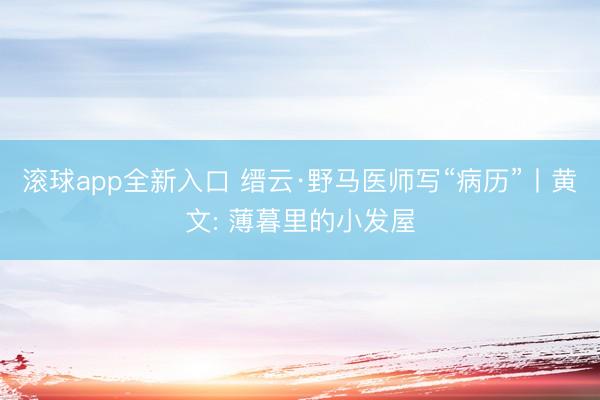 滚球app全新入口 缙云·野马医师写“病历”丨黄文: 薄暮里的小发屋