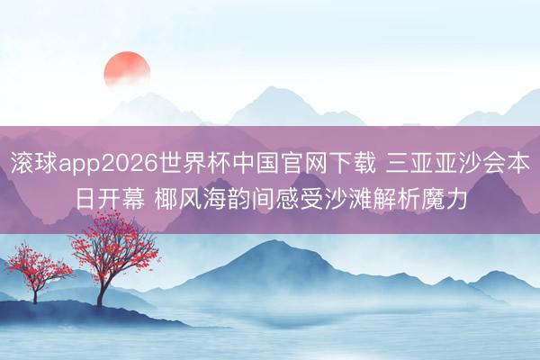 滚球app2026世界杯中国官网下载 三亚亚沙会本日开幕 椰风海韵间感受沙滩解析魔力