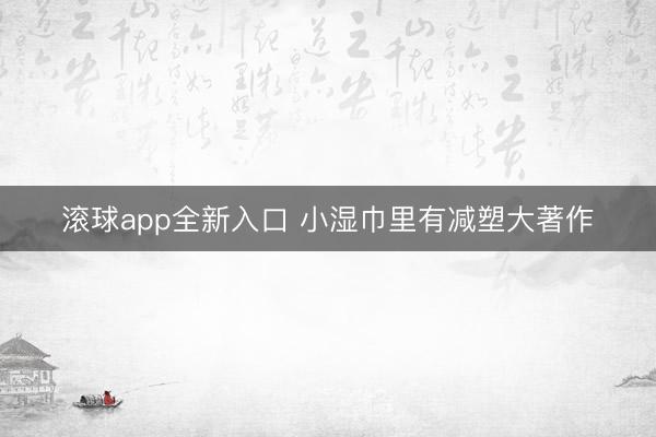 滚球app全新入口 小湿巾里有减塑大著作