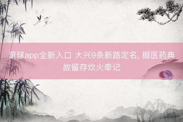 滚球app全新入口 大兴9条新路定名， 撷医药典故留存炊火牵记