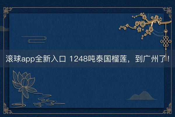 滚球app全新入口 1248吨泰国榴莲，到广州了！