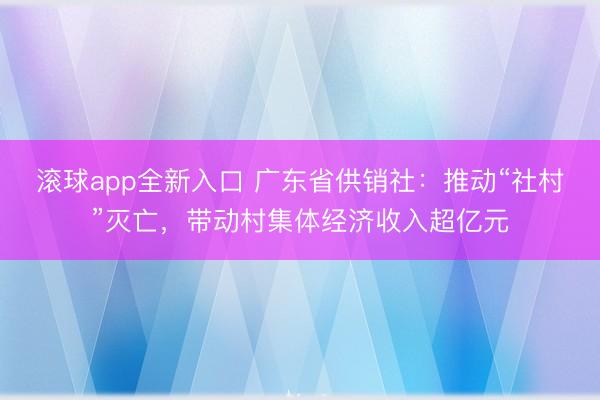滚球app全新入口 广东省供销社：推动“社村”灭亡，带动村集体经济收入超亿元